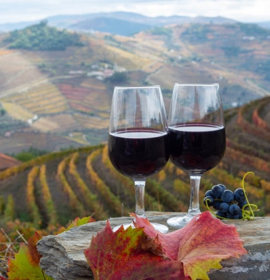 Port wine with colorful terraced vineyards